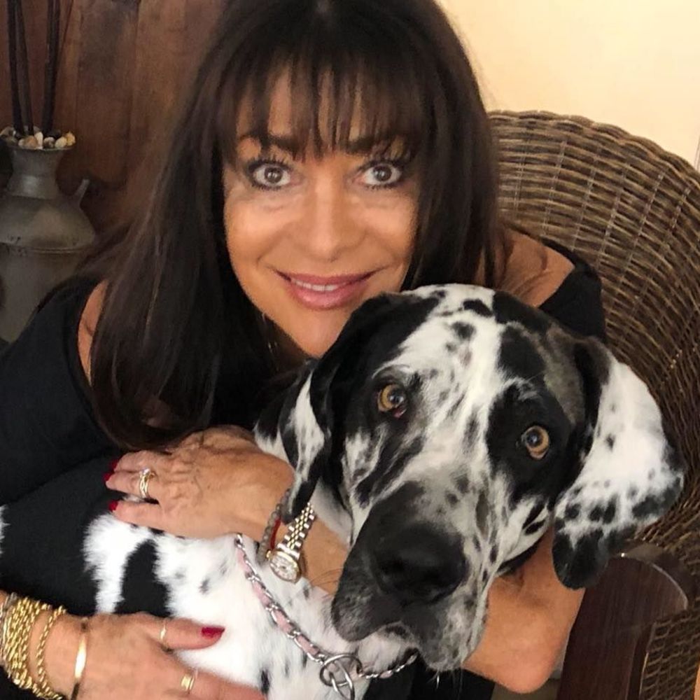 Meet your Posher, Patricia